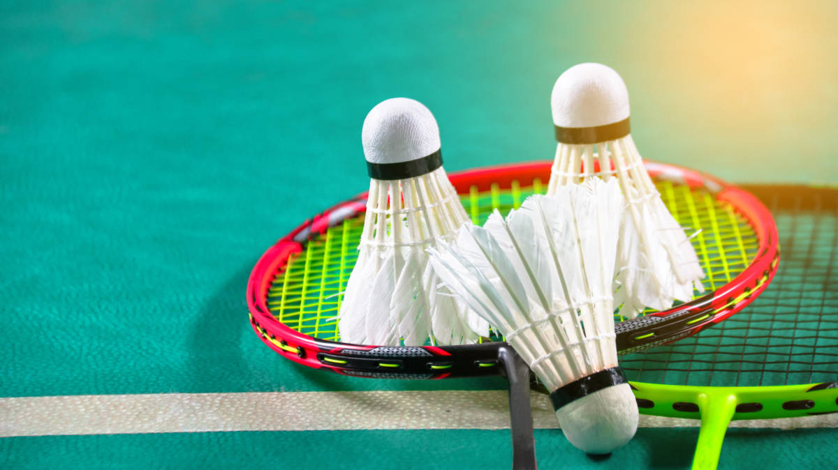 小特进红包 小特进红包